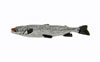 CMW07019